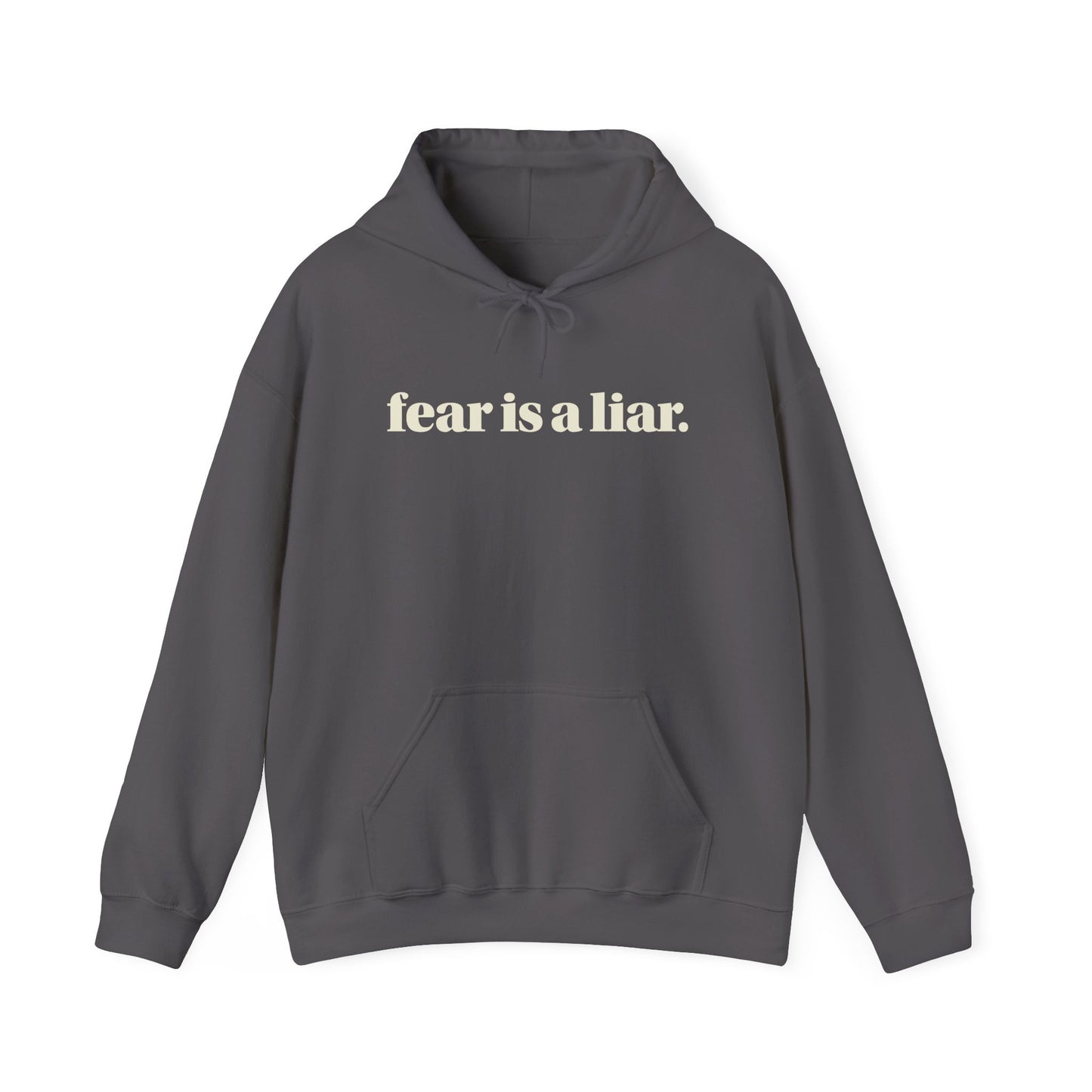 FEAR IS A LIAR. HOODIE