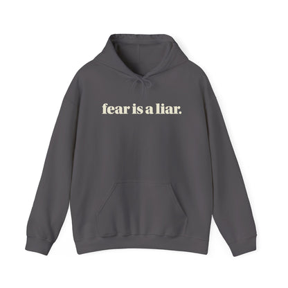 FEAR IS A LIAR. HOODIE