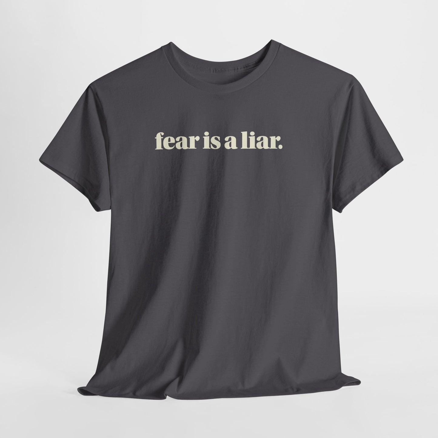 FEAR IS A LIAR. TEE