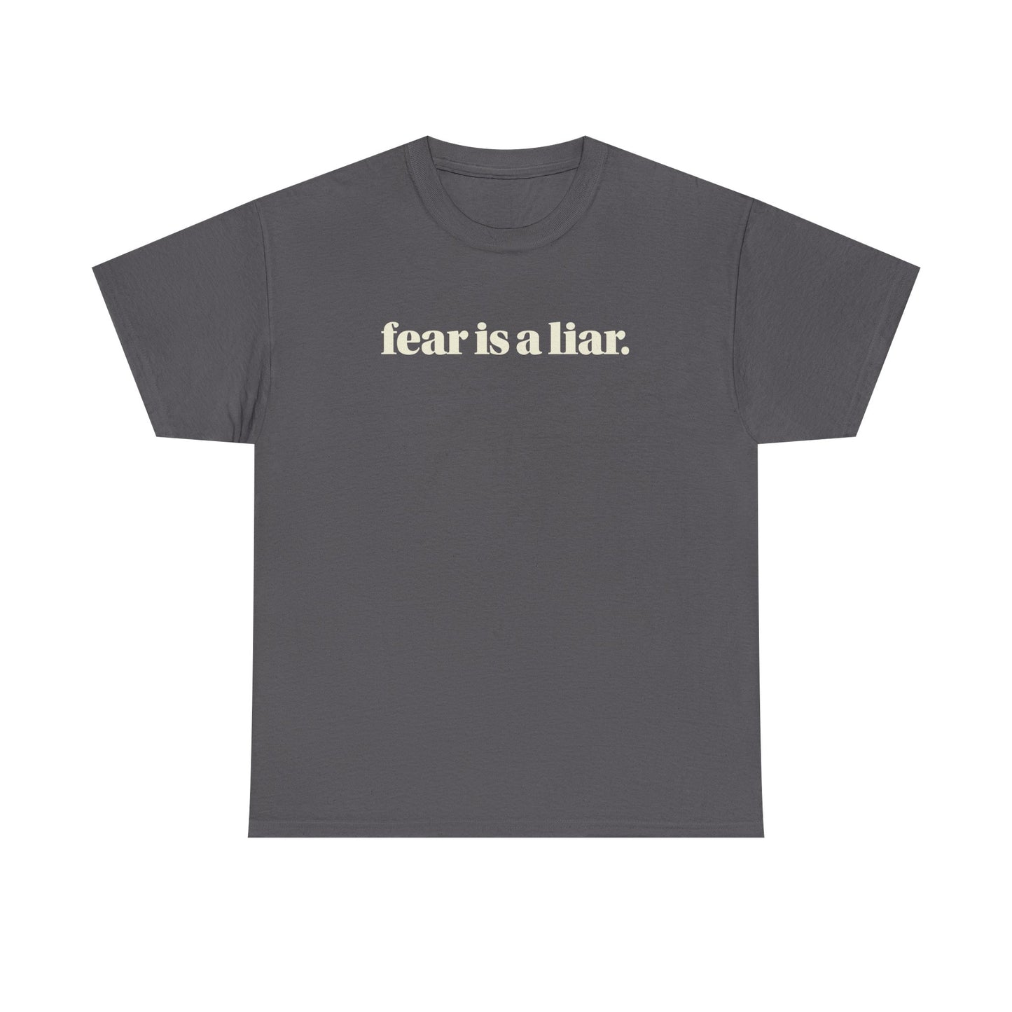 FEAR IS A LIAR. TEE